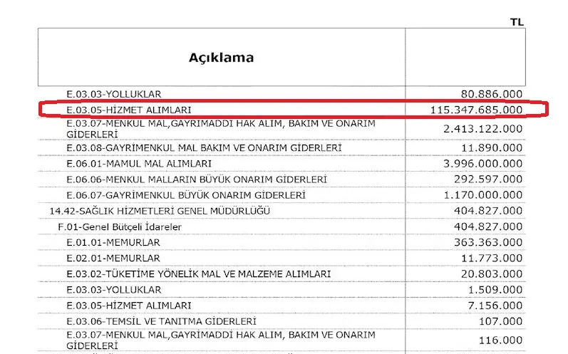 Sağlık Bakanlığı 2025 yılı bütçesinde Aile Hekimliği Hizmetleri. 03.05-Hizmet Alımları ekonomik kodlu bütçe kaleminde 115 milyar TL